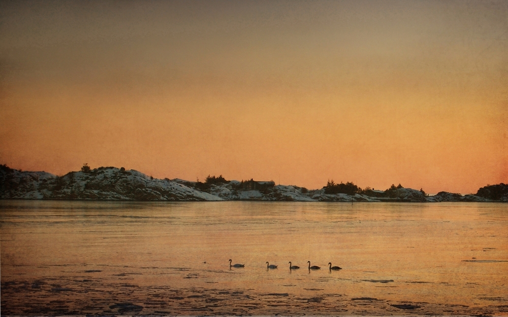 20120207-165804-1.jpg