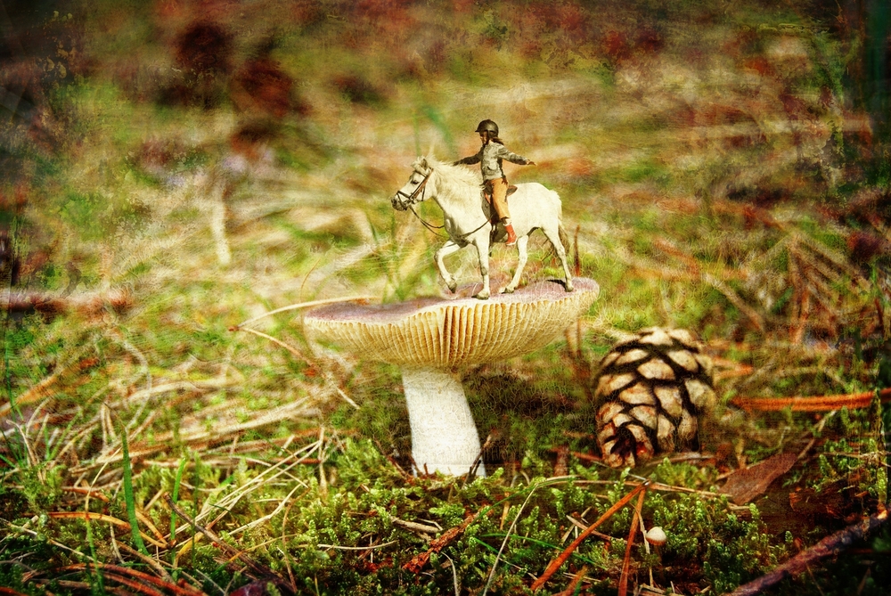 20110902-160536-3.jpg